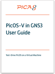 Picos-V in GNS3 User Guide