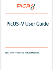 Picos-V User Guide