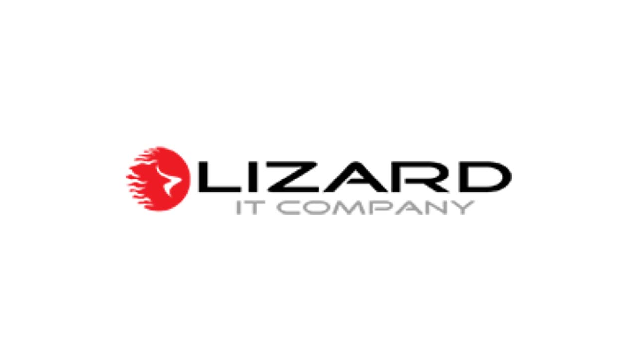 Lizard IT - France