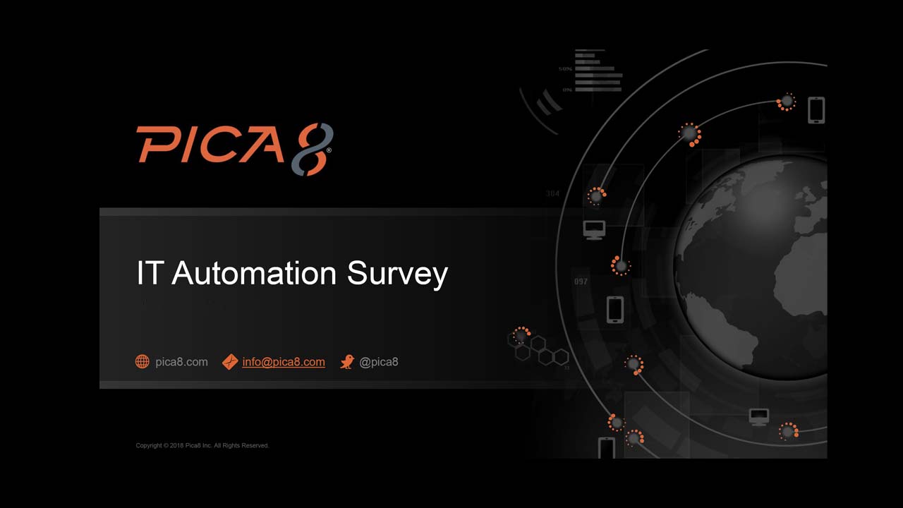 IT Network Automation Survey of 200 Senior IT Professionals