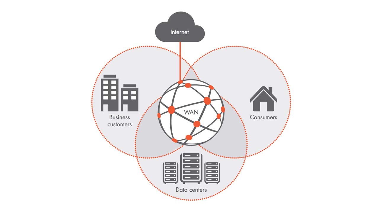 SDN Services at the <br>Customer Edge